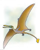 Rhamphorhynchus